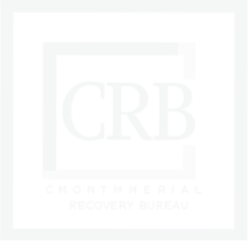 commercialAuditImage